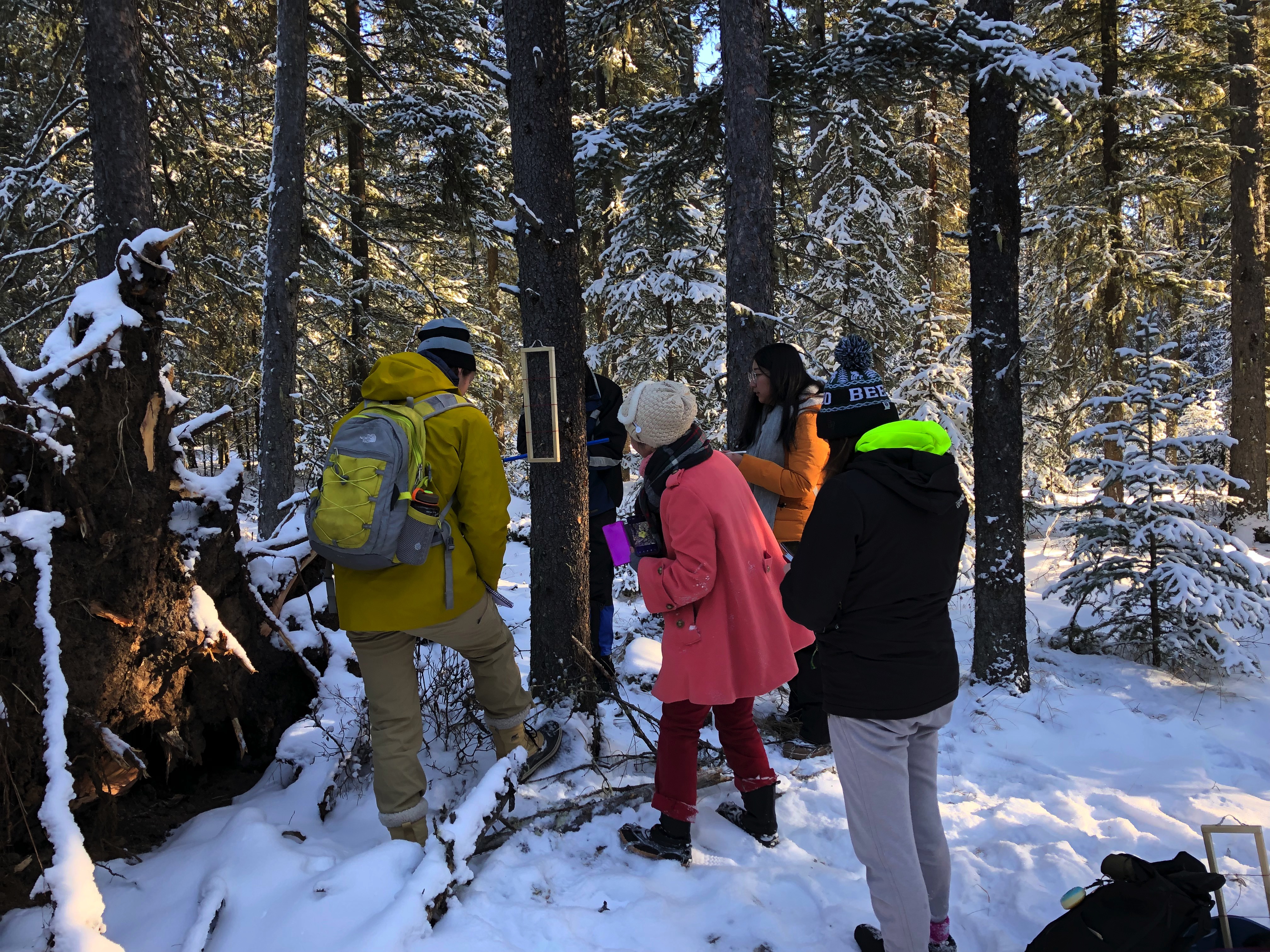 Students studying lichen